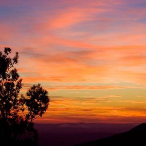 Meet your Posher, Hector